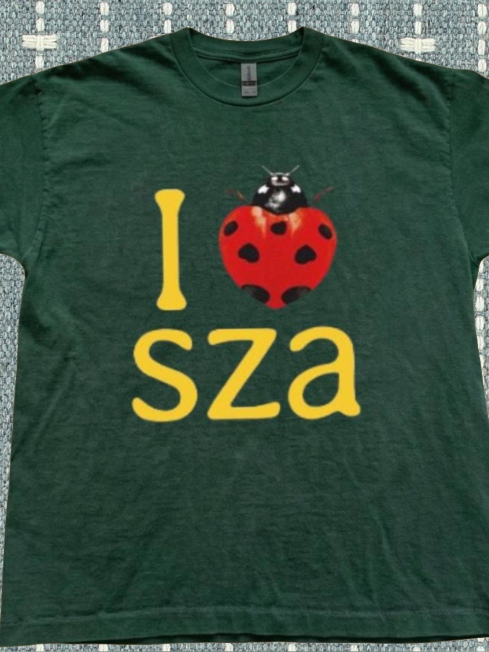 Gildan Dark Green Short-Sleeve Tee with Red Ladybug Heart and Yellow Print